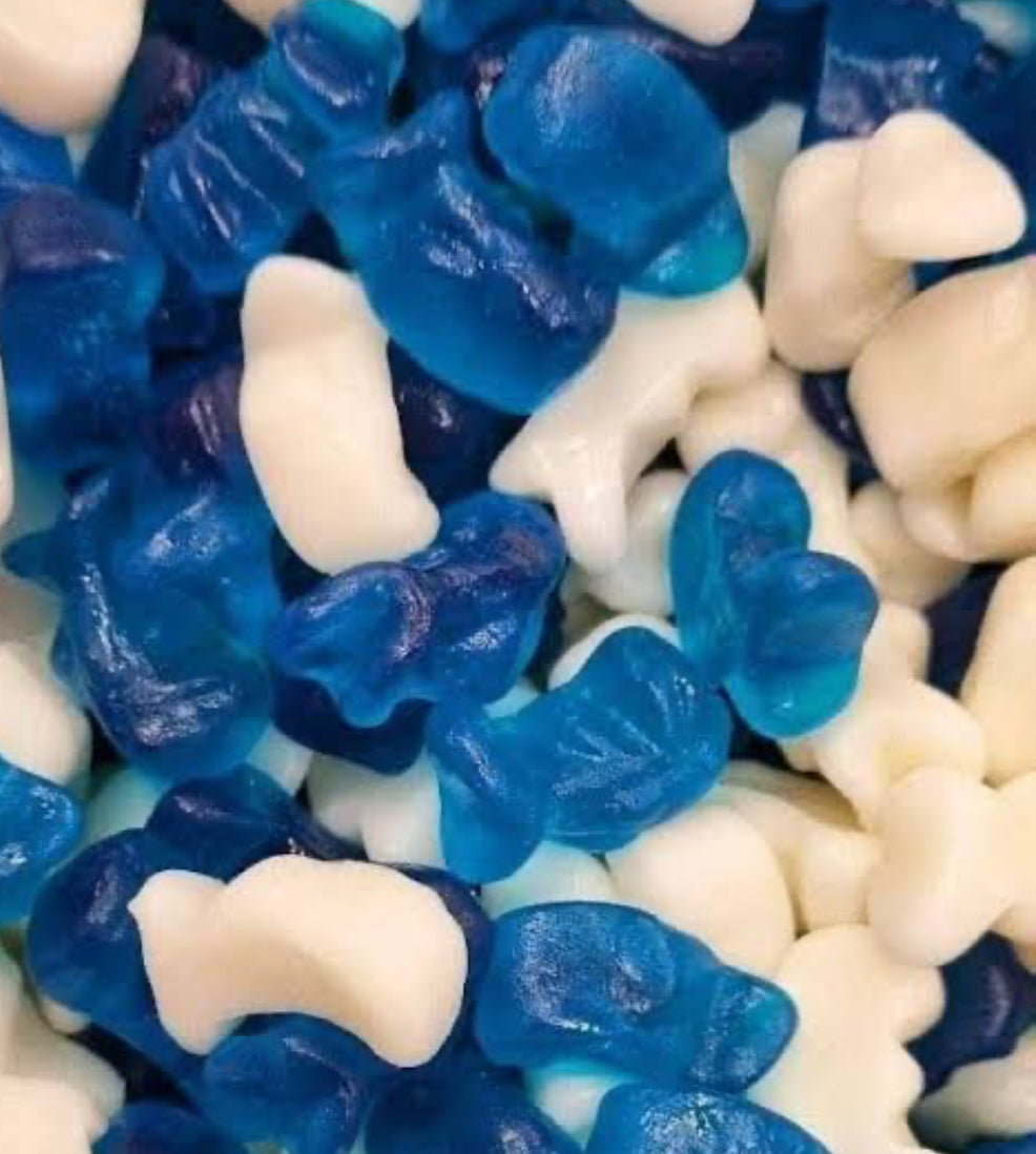 Kingsway Baby Dolphins